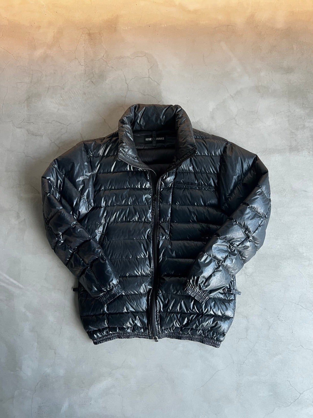 ISSEY MIYAKE, Down Jacket